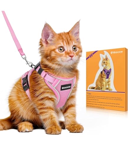 Amazon | Bigcow 猫 猫用 リード セット 猫牽引ロープ リード 猫