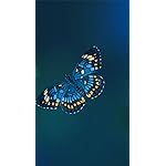 チョウ(蝶) iPhoneSE/5s/5c/5(640×1136)壁紙 Schmetterlinge 2023: Kalender チョウ(蝶) iPhoneSE/5s/5c/5(640×1136)壁紙 Schmetterlinge 2023: Kalender