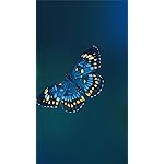 チョウ(蝶) HD(720×1280)壁紙 Schmetterlinge 2023: Kalender チョウ(蝶) HD(720×1280)壁紙 Schmetterlinge 2023: Kalender