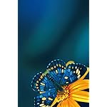 チョウ(蝶) iPhone(640×960)壁紙 Schmetterlinge 2023: Kalender チョウ(蝶) iPhone(640×960)壁紙 Schmetterlinge 2023: Kalender