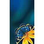 チョウ(蝶) フルHD(1080×1920)スマホ壁紙/待受 Schmetterlinge 2023: Kalender チョウ(蝶) フルHD(1080×1920)スマホ壁紙/待受 Schmetterlinge 2023: Kalender