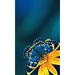 チョウ(蝶) FVGA(480×800)壁紙 Schmetterlinge 2023: Kalender チョウ(蝶) FVGA(480×800)壁紙 Schmetterlinge 2023: Kalender