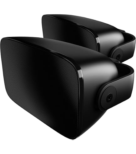 Amazon | Bowers & Wilkins ASW608 コンパクトパワードサブウーファー