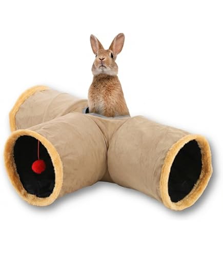 Amazon.co.jp: fuu 隠れ家トンネルウッド 小動物 木製 固定具付き