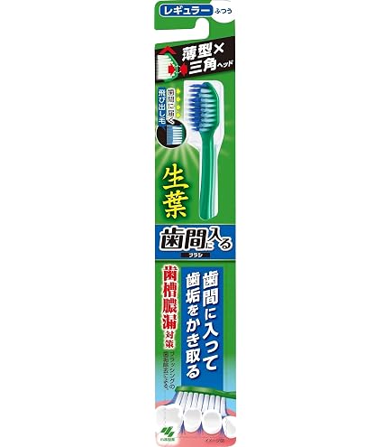 Amazon | 生葉(しょうよう) もふもふ磨けるブラシ 歯ブラシ レギュラー