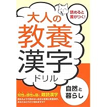 漢字ドリル 71qNCUCQrsL._AC_UL210_SR210,