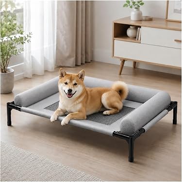Amazon.co.jp 最新リリース: 犬用ベッド・クッション の新着ランキング