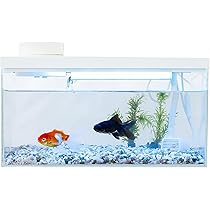 アリーナ アクアラマシステム 180度円形水槽 ブータン アリーナ アクア