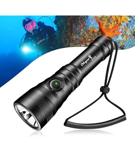 Amazon.co.jp: ORCATORCH D550 スキューバダイビングライト - 1000