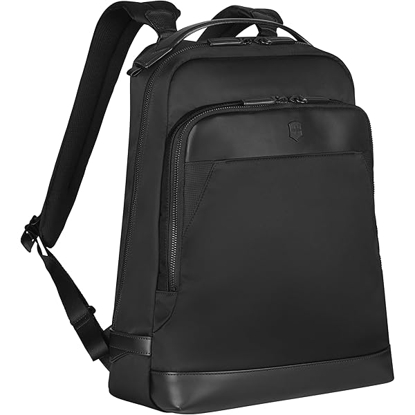 Amazon.co.jp: [ビクトリノックス] リュック A4 17L メンズ ブラック