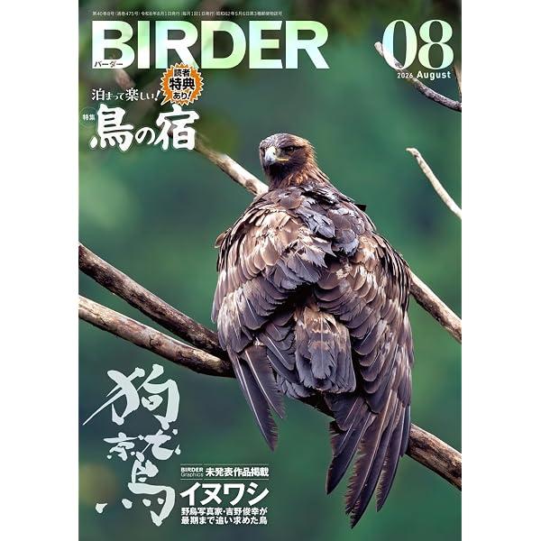 BIRDER（バーダー）2024年8月号 ブンチョウ | BIRDER編集部 |本 | 通販
