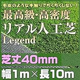 最高級 リアル 人工芝 「レジェンド」 芝丈40mm《1m×10m》 【防炎認証済】