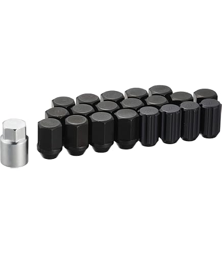 Amazon | WORK(ワーク) ロックナットセット 6H用 24個入り (ナット20個 