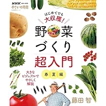 NHK趣味の園芸 やさいの時間 藤田 智の 新・野菜づくり大全 (生活実用