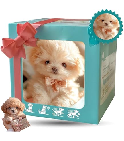 リアル 美品 動く 鳴く 等身大 バーチャルペット ロボット おもちゃ ねこ 楽天市場】タカラトミー 猫 ロボットの通販