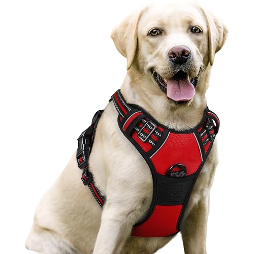 Rabbitgoo Dog Harness No-Pull Pet Harness Adjustable Outdoor Pet Vest 3M Reflective Oxford Material Vest for Dogs Easy Contro