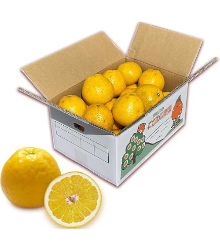 Amazon.co.jp: 愛媛 河内晩柑 7kg Lサイズ指定 秀品・ギフト用 宇和