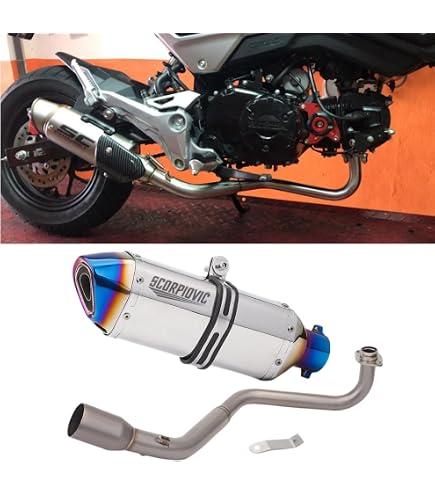 Amazon | エンデュランス (ENDURANCE) バイク 【受注生産品】 GROM