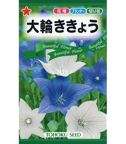 Amazon | サカタのタネ 実咲花7120 桔梗 五月雨混合 00907120 | 花