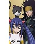 FAIRY-TAIL FVGA(480×800)壁紙 ウェンディ,ガジル FAIRY-TAIL FVGA(480×800)壁紙 ウェンディ,ガジル