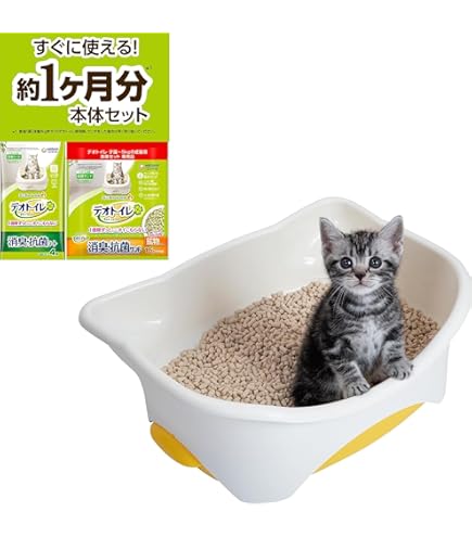 Amazon.co.jp: あのちゃん ano 猫猫吐吐 トレーディング カード AIDA