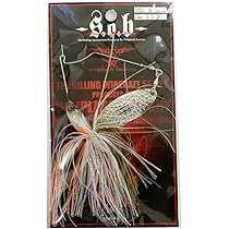 すーです。ポールウエスパ　ベイチ ビカクシダ P.Paul Vespa