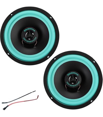 Amazon.co.jp: Rockford Fosgate Punch P1 P1S410 10インチ 150ワット