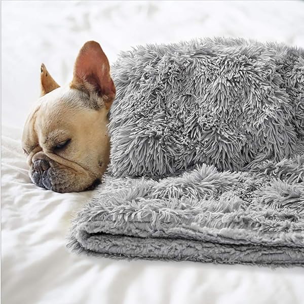 Dog blankets amazon Clearance