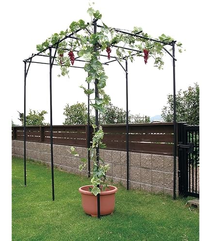 【はまゆう‼️】【美品❣️】くだもの棚セット 葡萄棚　藤棚　キウイ棚 Amazon | くだもの棚セット キウイ棚 ぶどう棚 頑丈 葡萄棚 園芸棚