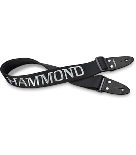 HAMMOND ハモンド PRO-24B 鍵盤ハーモニカ エレアコ バスモデル Amazon | HAMMOND ハモンド PRO-24B 鍵盤ハーモニカ エレアコ バス