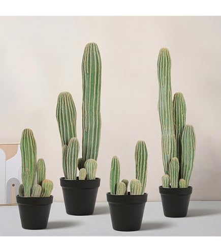 Amazon｜PLANCHU 観葉植物 ネフロレピス ハッピーマーブル 8号吊り鉢