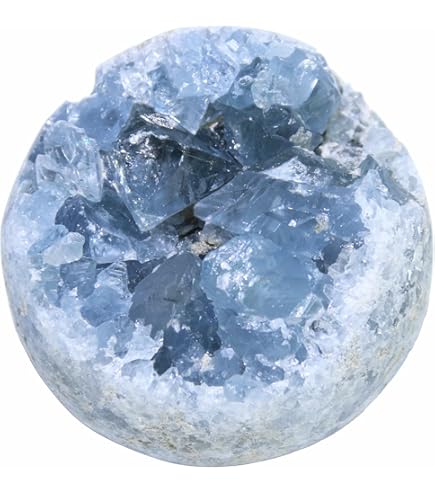 Amazon.co.jp: 希少 入手困難 パラサイト隕石の女王 イミラック