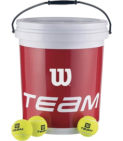 Amazon | テクニファイバー Tecnifibre テニス テニスボール XLD 36球
