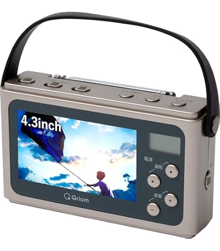 Amazon.co.jp: SONY ワンセグ搭載ラジオ ブラック XDV-G200-BC