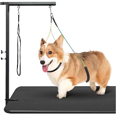 Amazon.co.jp 売れ筋ランキング: 犬用トリミングシザー の中で最も人気