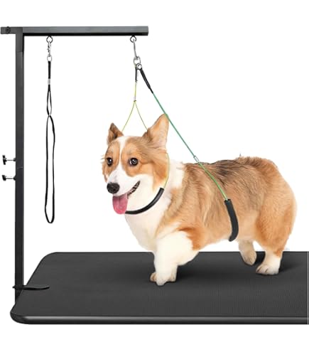 Amazon.co.jp: seathestars トリミングテーブル用アーム リードアーム