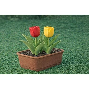 Amazon.co.jp 最新リリース: 球根 の新着ランキングです。