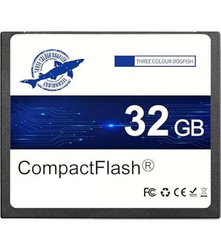 Amazon | Canon EOS 5D Mark IV CompactFlash Memory Card SanDisk