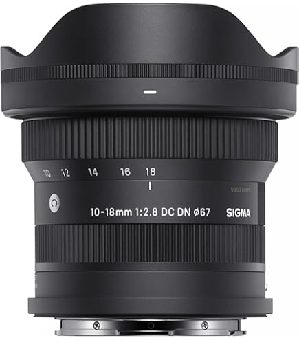 Amazon.co.jp: キヤノン RF28mm F2.8 STMレンズ RFマウント 広角