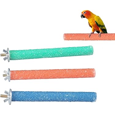 Amazon.co.jp 人気ギフトランキング: 鳥用止まり木 で、ギフトの