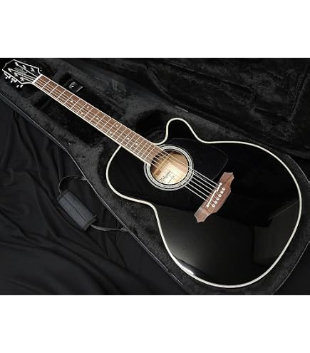Amazon | TAKAMINE/タカミネ TDP861C BL レギュラーモデル | エレアコ