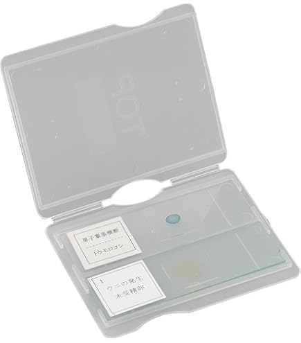 たらたら品 油圧ショベル｜ZX200LC-6-512081号機｜中古車在庫情報｜商品情報