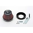 BLITZ(ブリッツ) SUS POWER CORE TYPE LM(サスパワーコアタイプLM) RED Version ステージア WGNC34(M/C前) RB25DET 59021