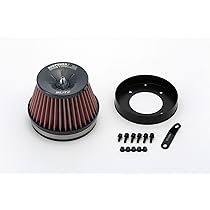 Amazon | BLITZ(ブリッツ) SUS POWER CORE TYPE LM(サスパワーコア 