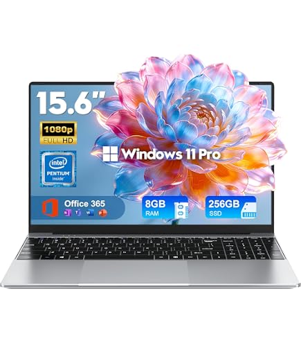 Dell Inspiron 15 3567 15.6