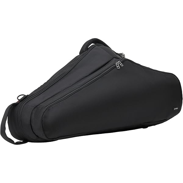 Amazon.co.jp: PROTEC BM305CT テナーサックス用 ABS樹脂製 zipケース