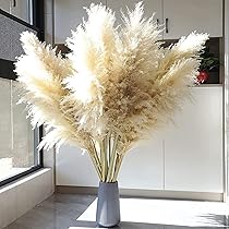 Amazon | パンパスグラスデコレーション10本の茎27.5インチ（70 cm）の  