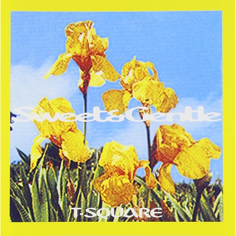 Amazon.co.jp: B.C.A.D - T-SQUARE: ミュージック