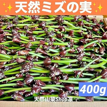ジューンベリー　種３０粒とオマケの種 Amazon.co.jp 最新リリース: 果物の種 の新着ランキングです。