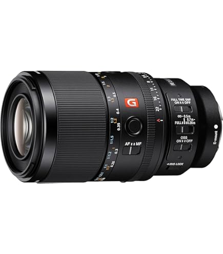 Amazon.co.jp: Sony(ソニー) レンズ FE 100-400mm F4.5-5.6 GM OSS